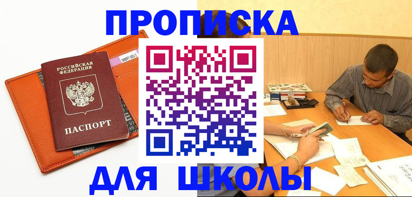 форма 3 в Камчатской области